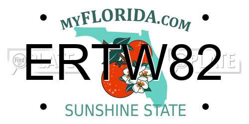 ERTW82 Florida License Plate