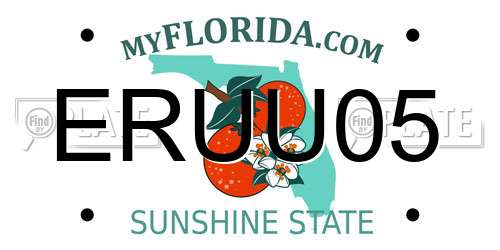 ERUU05 Florida License Plate