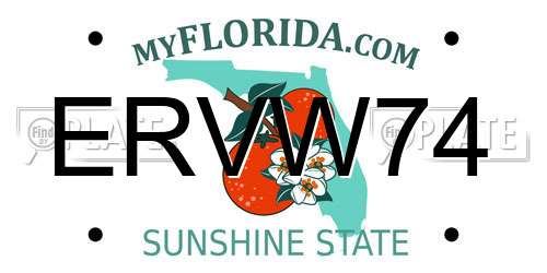 ERVW74 Florida License Plate