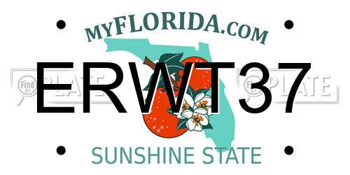 ERWT37 Florida License Plate