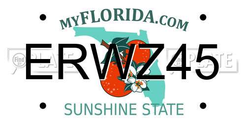 ERWZ45 Florida License Plate