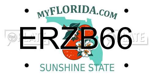 ERZB66 Florida License Plate