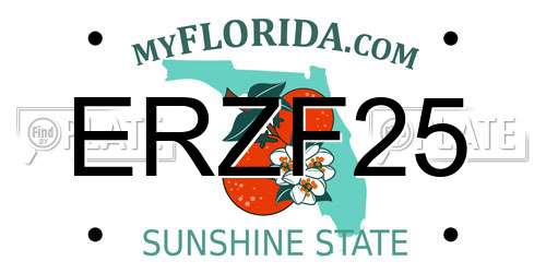 ERZF25 Florida License Plate