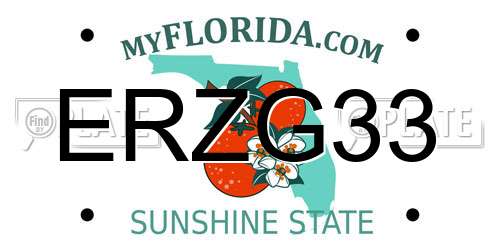 ERZG33 Florida License Plate