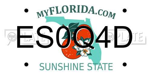 ES0Q4D Florida License Plate