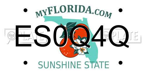 ES0Q4Q Florida License Plate