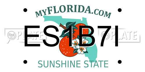 ES1B7I Florida License Plate