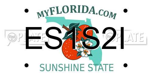 ES1S2I Florida License Plate