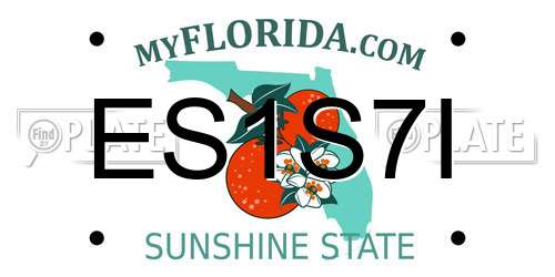 ES1S7I Florida License Plate