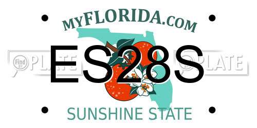 ES28S Florida License Plate