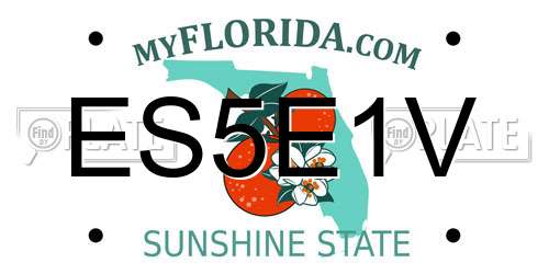 ES5E1V Florida License Plate