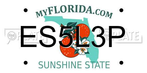 ES5L3P Florida License Plate