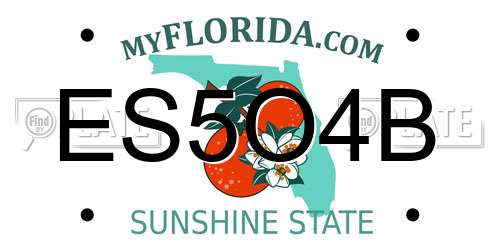 ES5O4B Florida License Plate