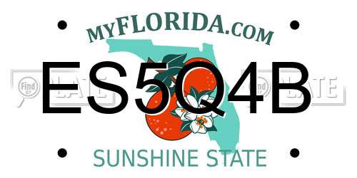 ES5Q4B Florida License Plate
