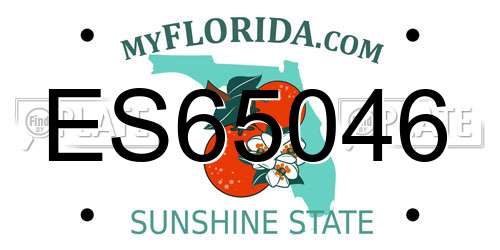 ES65046 Florida License Plate