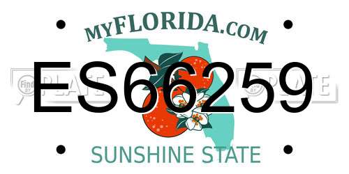 ES66259 Florida License Plate