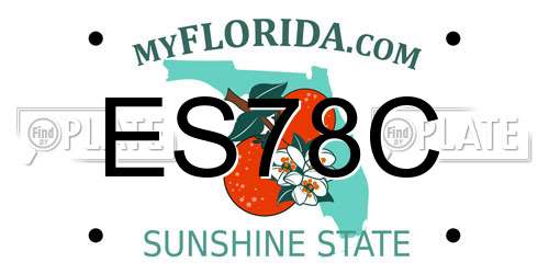 ES78C Florida License Plate
