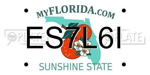 ES7L6I Florida License Plate