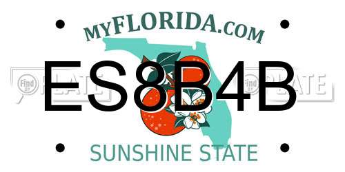ES8B4B Florida License Plate