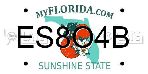 ES8O4B Florida License Plate