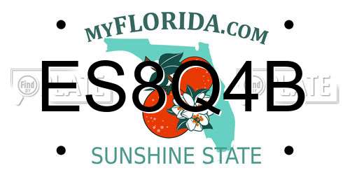ES8Q4B Florida License Plate