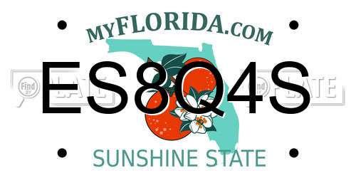 ES8Q4S Florida License Plate