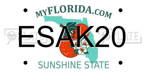 ESAK20 Florida License Plate