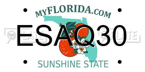 ESAQ30 Florida License Plate