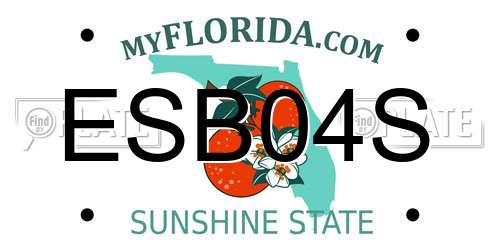 ESB04S Florida License Plate