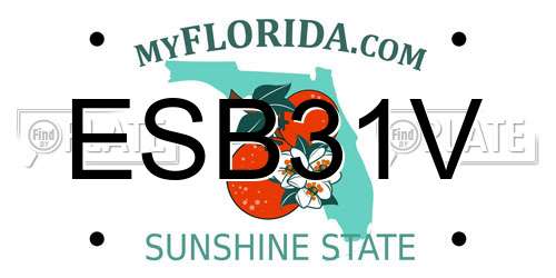 ESB31V Florida License Plate