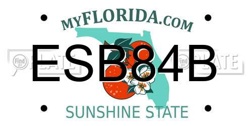 ESB84B Florida License Plate