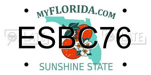 ESBC76 Florida License Plate