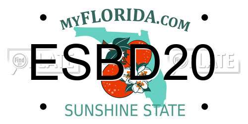 ESBD20 Florida License Plate
