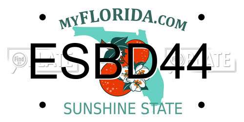 ESBD44 Florida License Plate