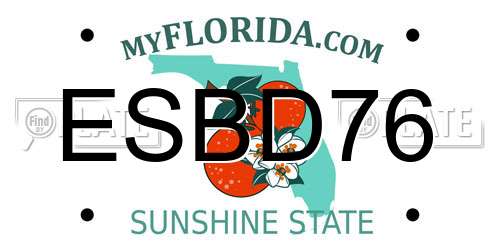 ESBD76 Florida License Plate