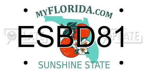 ESBD81 Florida License Plate