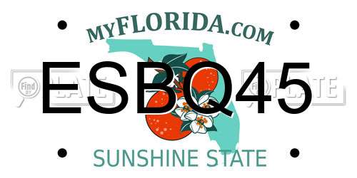 ESBQ45 Florida License Plate