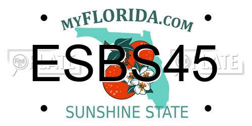 ESBS45 Florida License Plate