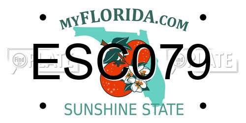 ESC079 Florida License Plate