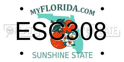 ESC308 Florida License Plate