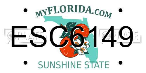 ESC6149 Florida License Plate