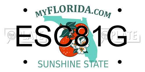 ESC81G Florida License Plate