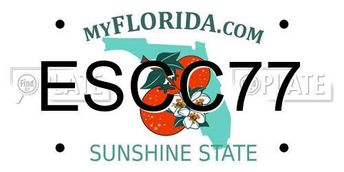 ESCC77 Florida License Plate