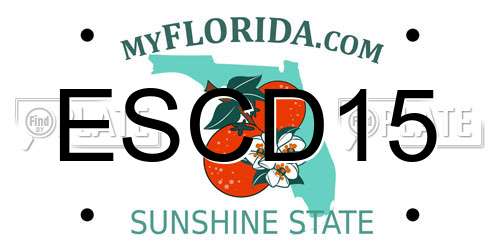 ESCD15 Florida License Plate