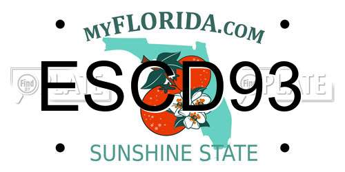 ESCD93 Florida License Plate