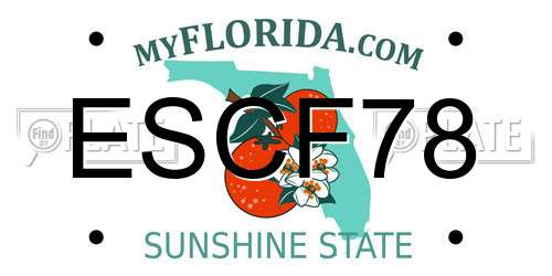 ESCF78 Florida License Plate