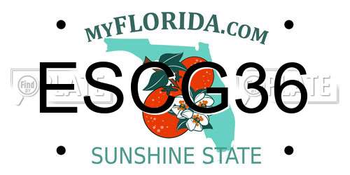ESCG36 Florida License Plate