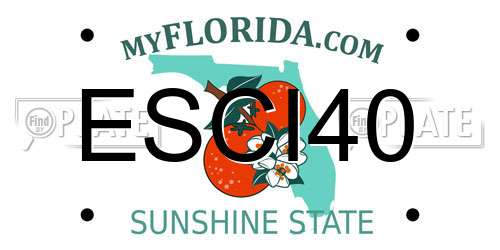 ESCI40 Florida License Plate