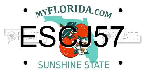 ESCJ57 Florida License Plate