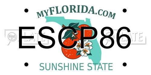 ESCP86 Florida License Plate